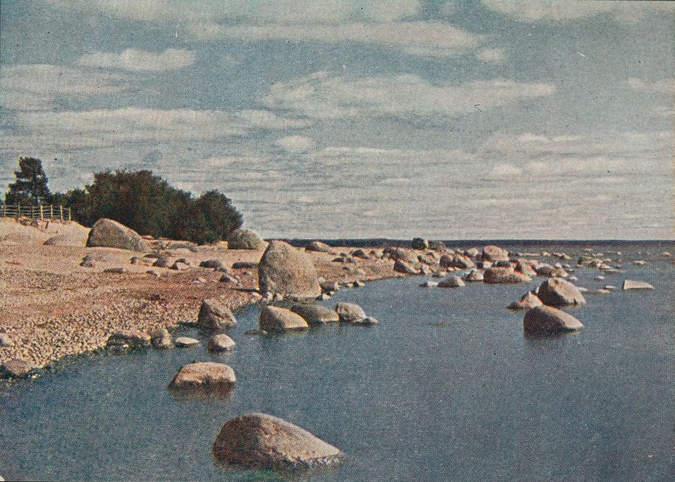 С. М. Прокудин-Горский. Финское побережье (Метсякюля). Август 1903 (или 1904) года