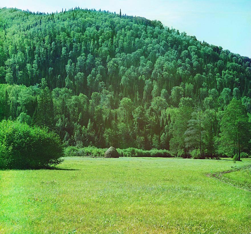 С. М. Прокудин-Горский. Горы, покрытые пихтовыми лесами, близ Симского завода. Лето 1910 года
