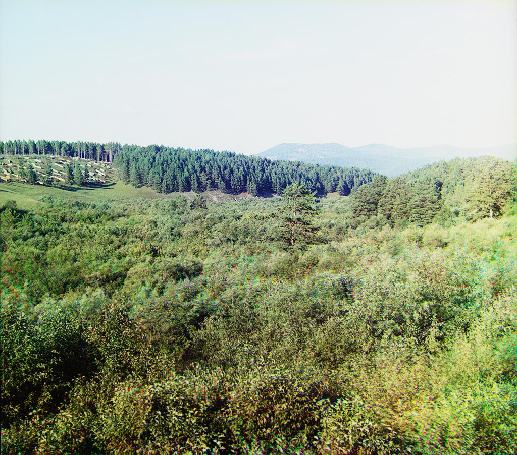 С. М. Прокудин-Горский. Заготовка дров в горах. Лето 1910 года