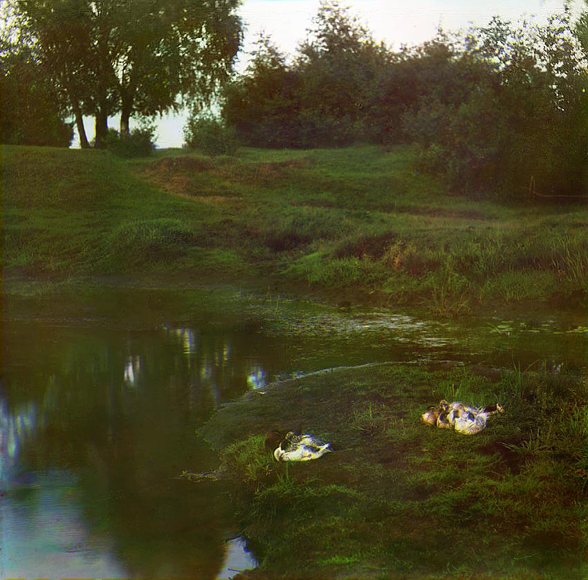 С. М. Прокудин-Горский. Этюд на реке Устье близ Борисоглебска. 1911 год