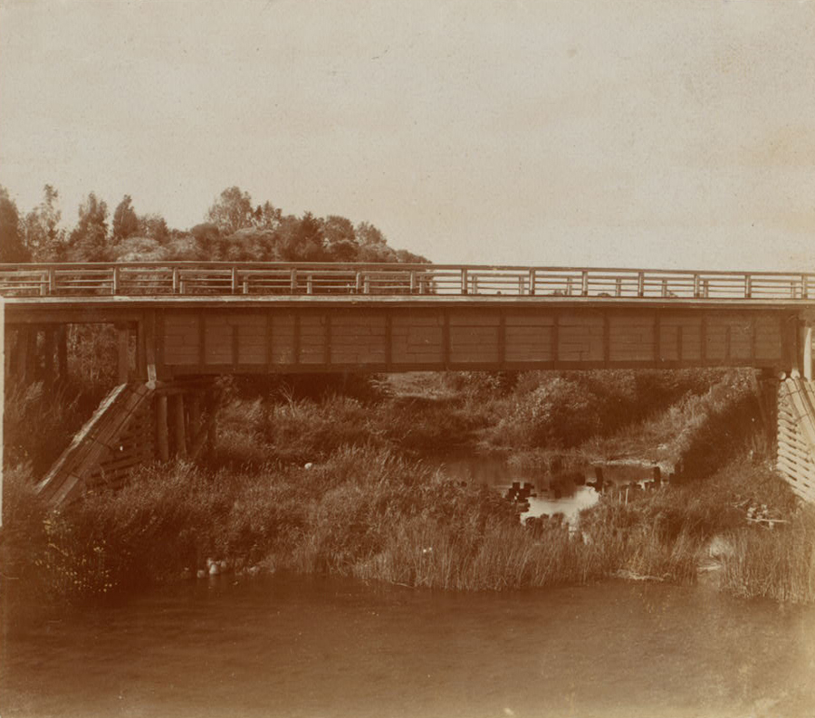 С. М. Прокудин-Горский. Остатки свай французского моста через реку Колочь у деревни Горки. 1911 год